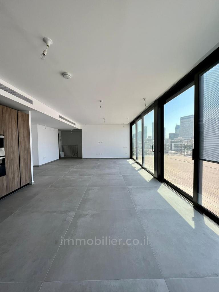 Duplex-Penthouse 4 Rooms Tel Aviv Kerem Hatemanim 457-IBL-1158
