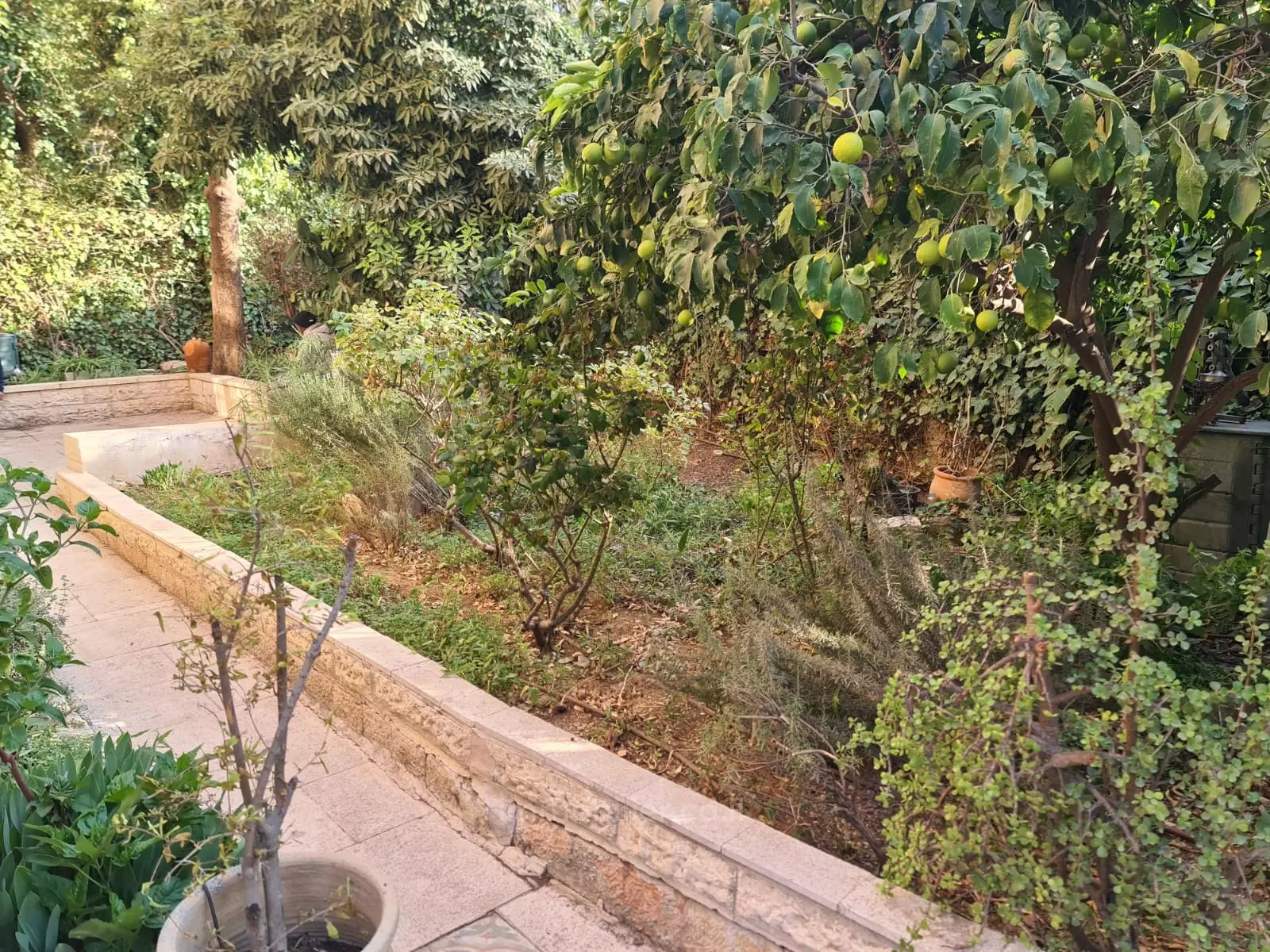 Ground floor 4.5 rooms Jerusalem Baka 1-IBL-2814