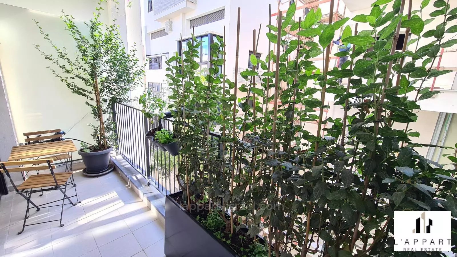 Apartment 3.5 Rooms Tel Aviv Bazel 175-IBL-3404