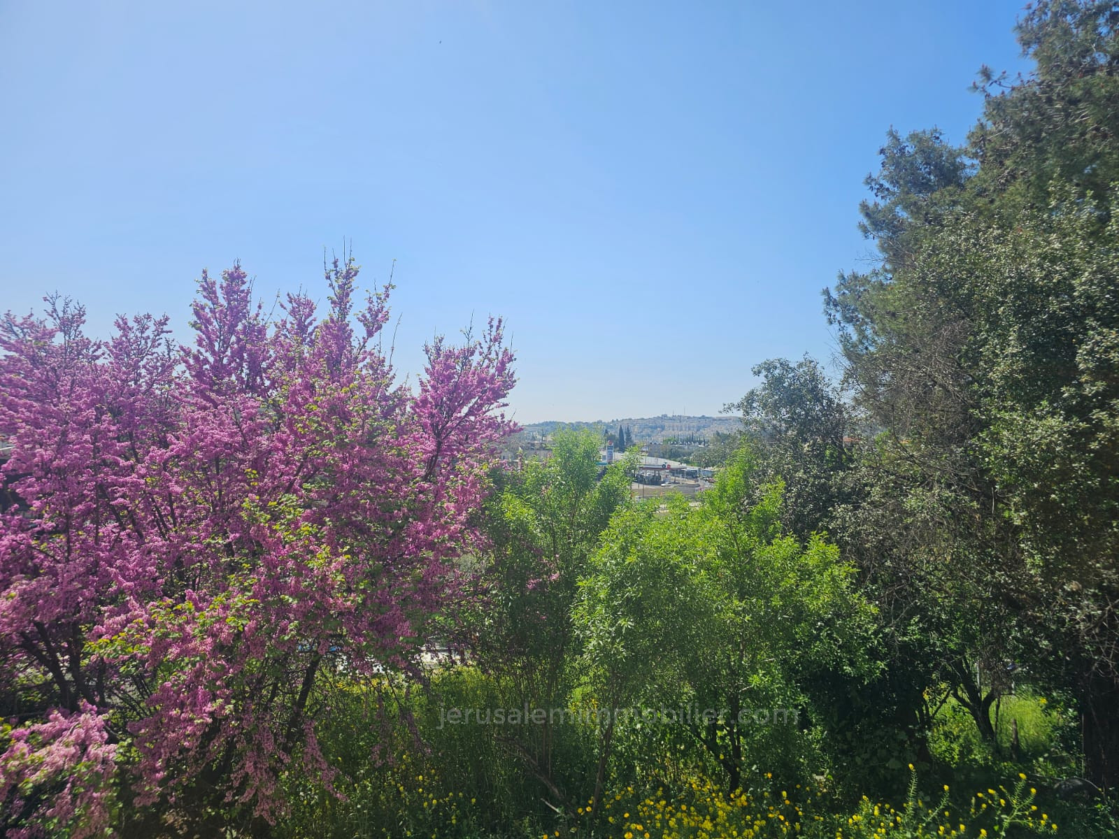 Apartment 5 Rooms Jerusalem Givat Mordehai 226-IBL-1833