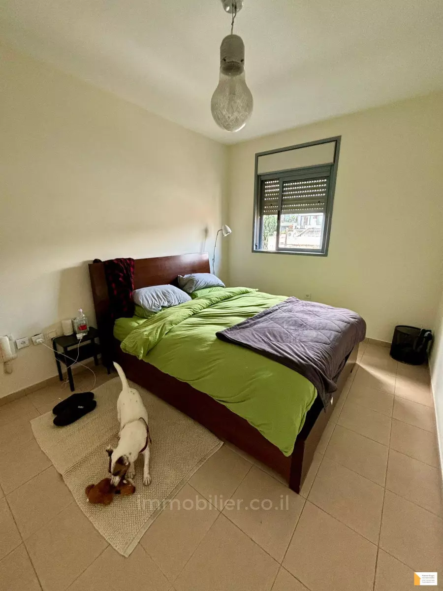 Apartment 2.5 rooms Tel Aviv Shenkin 232-IBL-3789