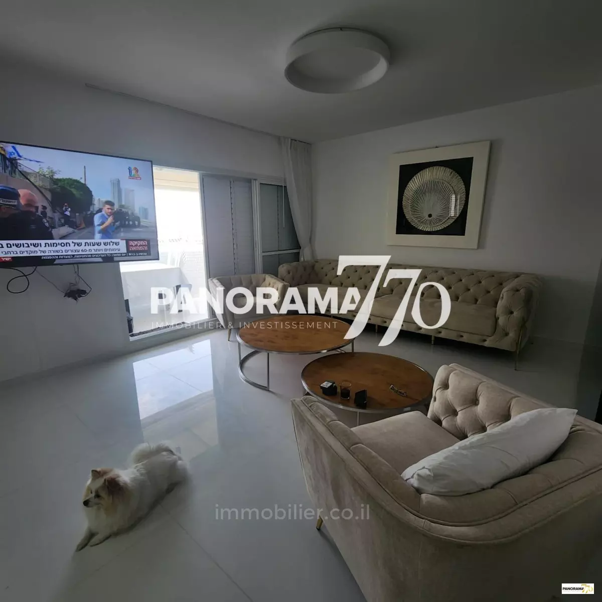 Apartment 5.5 rooms Ashkelon City 233-IBL-1404