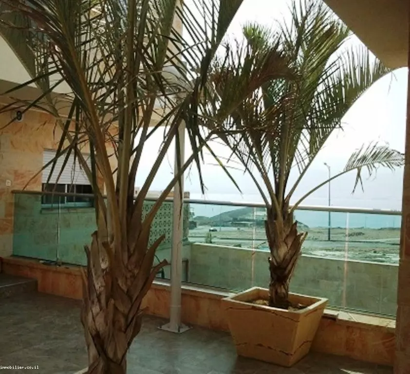 Cottage 6 rooms Eilat Shachamon 6 288-IBL-146