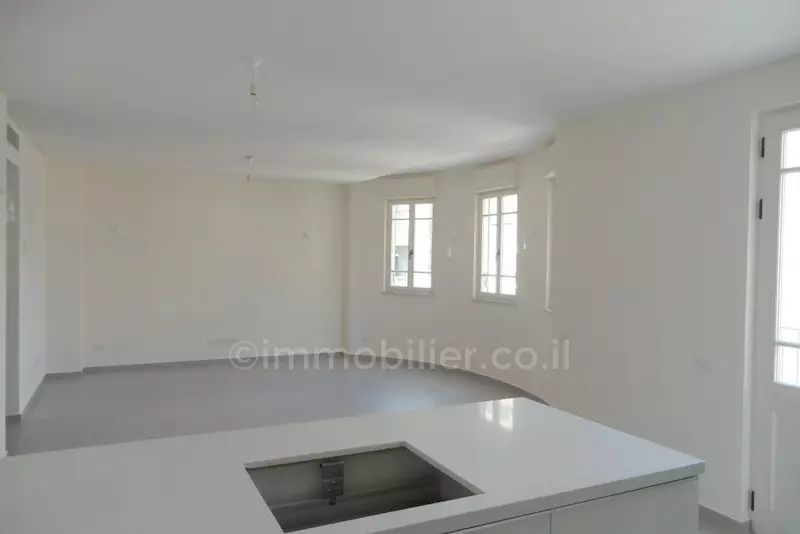 Apartment 3 rooms Tel Aviv Rothshild 291-IBL-614