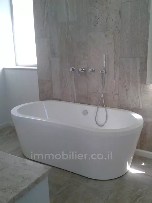 Apartment 5 rooms Tel Aviv Rothshild 291-IBL-713