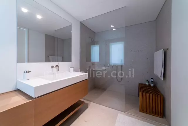 Penthouse 3.5 rooms Tel Aviv Rothshild 291-IBL-800