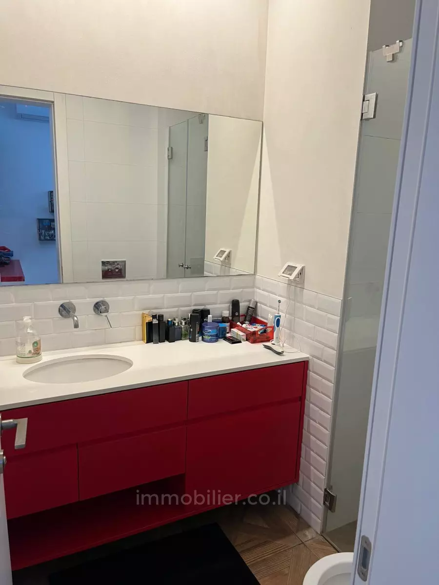 Penthouse 3 Rooms Tel Aviv Dizengof 291-IBL-808