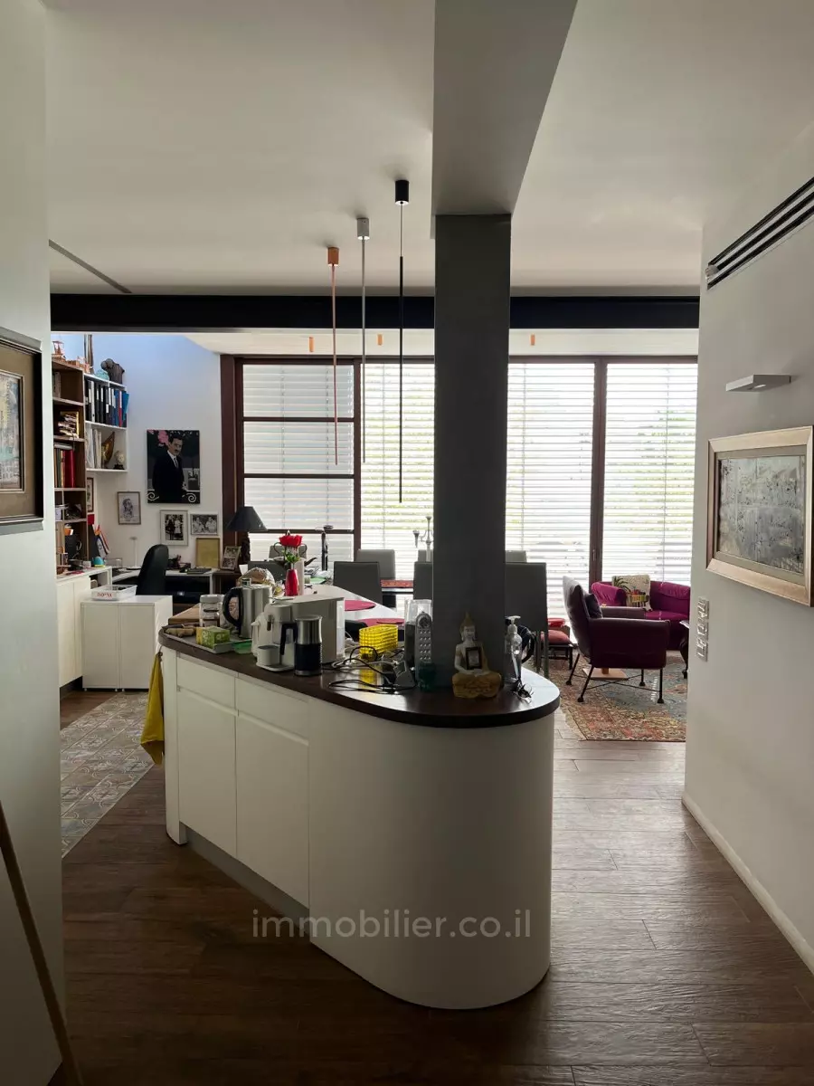 Penthouse 3 Rooms Tel Aviv Dizengof 291-IBL-808