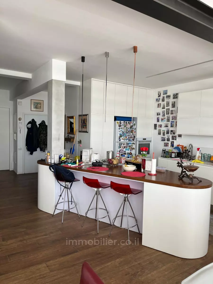 Penthouse 3 Rooms Tel Aviv Dizengof 291-IBL-808