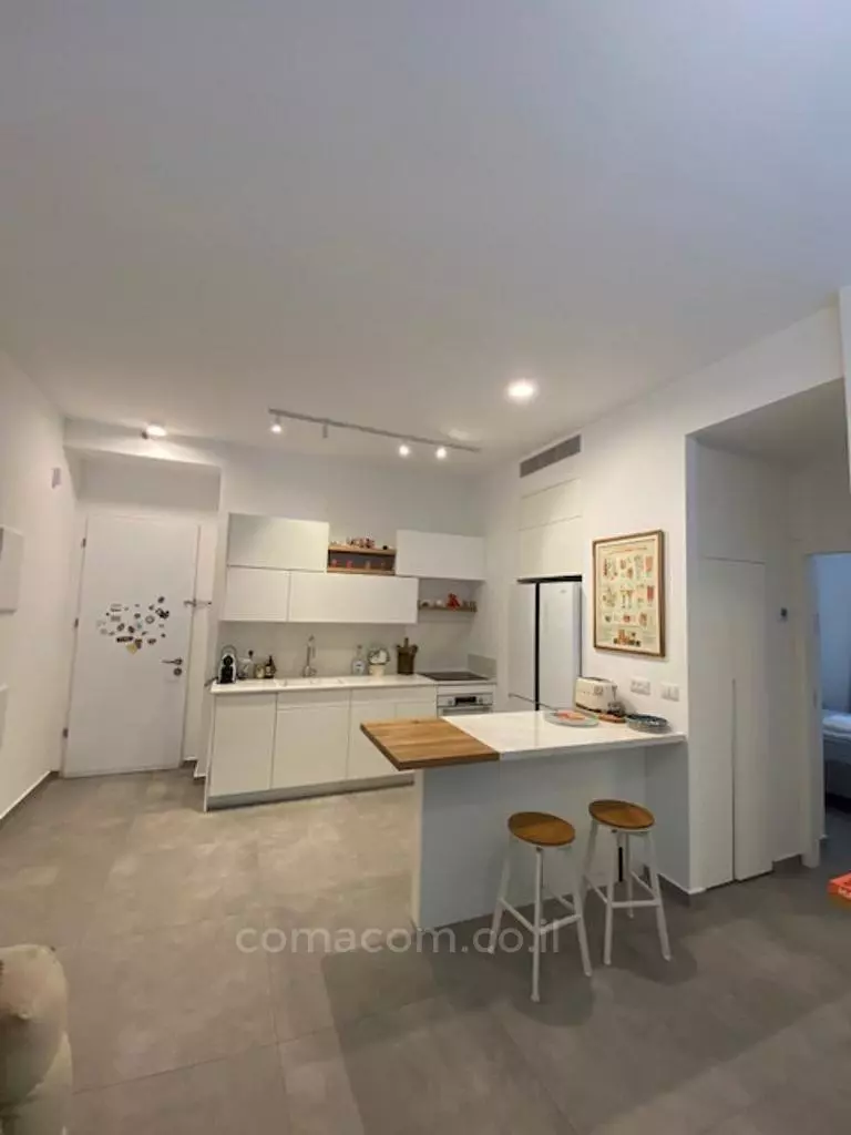 Apartment 3 rooms Tel Aviv Rothshild 342-IBL-6421