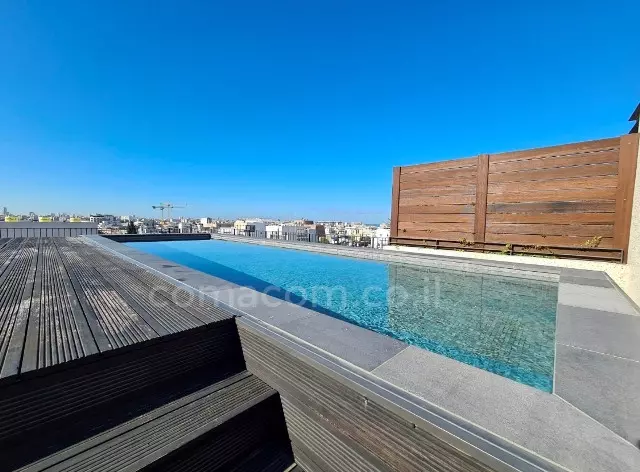 Penthouse 4 rooms Tel Aviv Florentine 342-IBL-6436