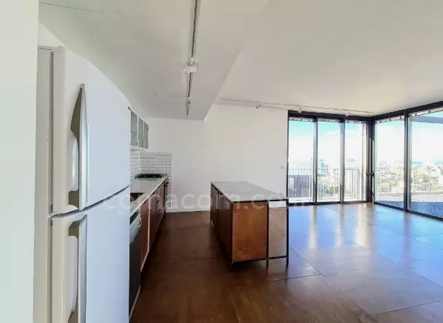 Penthouse 4 rooms Tel Aviv Florentine 342-IBL-6436