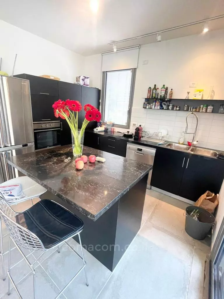 Apartment 3 Rooms Tel Aviv Lev Tel-Aviv 342-IBL-6590