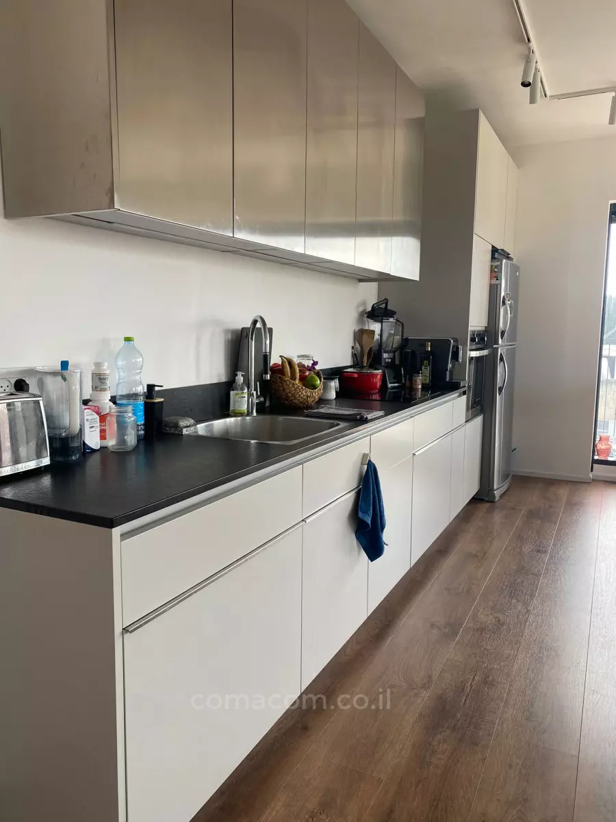 Apartment 4 Rooms Tel Aviv Dizengof 342-IBL-6617