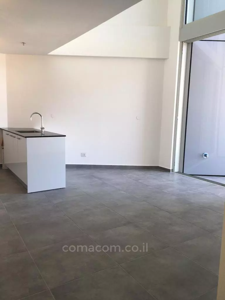 Duplex 4 Rooms Tel Aviv Sarona 342-IBL-6685