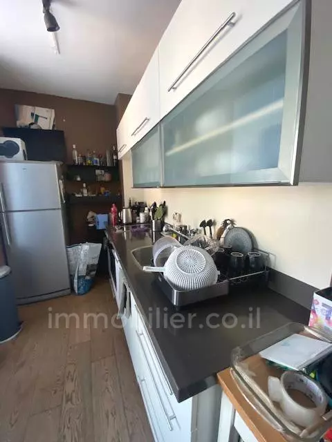 Duplex-Penthouse 3 Rooms Tel Aviv Ben-Yehuda 342-IBL-6692