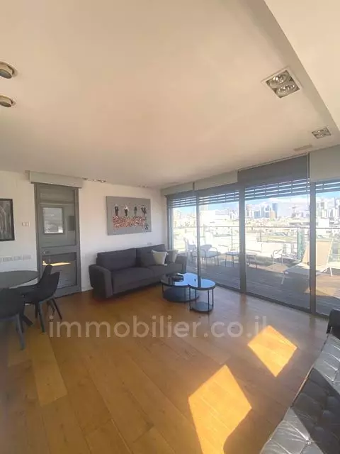 Duplex-Penthouse 3 Rooms Tel Aviv Ben-Yehuda 342-IBL-6704