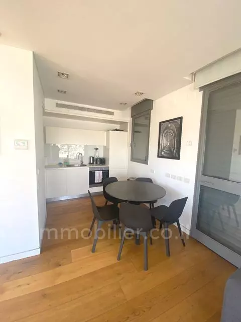 Duplex-Penthouse 3 Rooms Tel Aviv Ben-Yehuda 342-IBL-6704