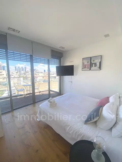 Duplex-Penthouse 3 Rooms Tel Aviv Ben-Yehuda 342-IBL-6704