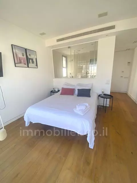 Duplex-Penthouse 3 Rooms Tel Aviv Ben-Yehuda 342-IBL-6704