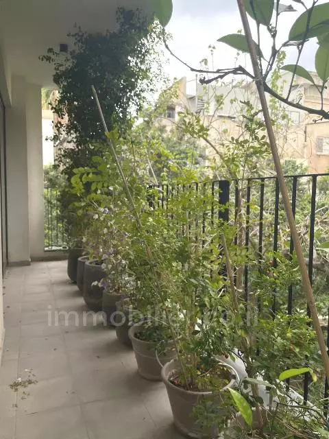 Apartment 3 Rooms Tel Aviv City center 342-IBL-6710