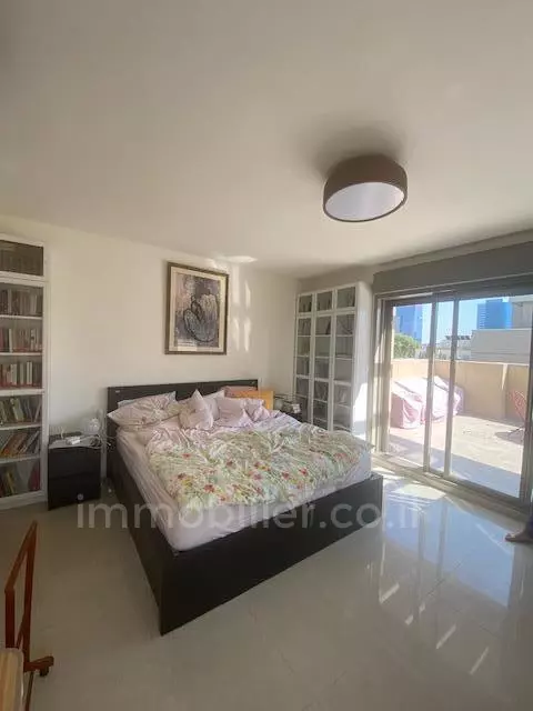 Duplex-Penthouse 3 Rooms Tel Aviv Montifiory 342-IBL-6715