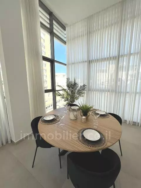 Duplex-Penthouse 4 rooms Tel Aviv City center 342-IBL-6743