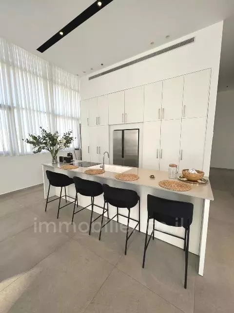 Duplex-Penthouse 4 rooms Tel Aviv City center 342-IBL-6743