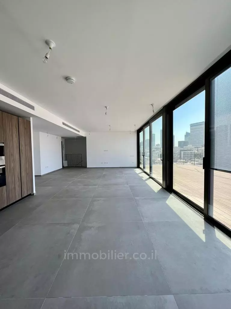 Duplex-Penthouse 4 rooms Tel Aviv Kerem Hatemanim 457-IBL-1158