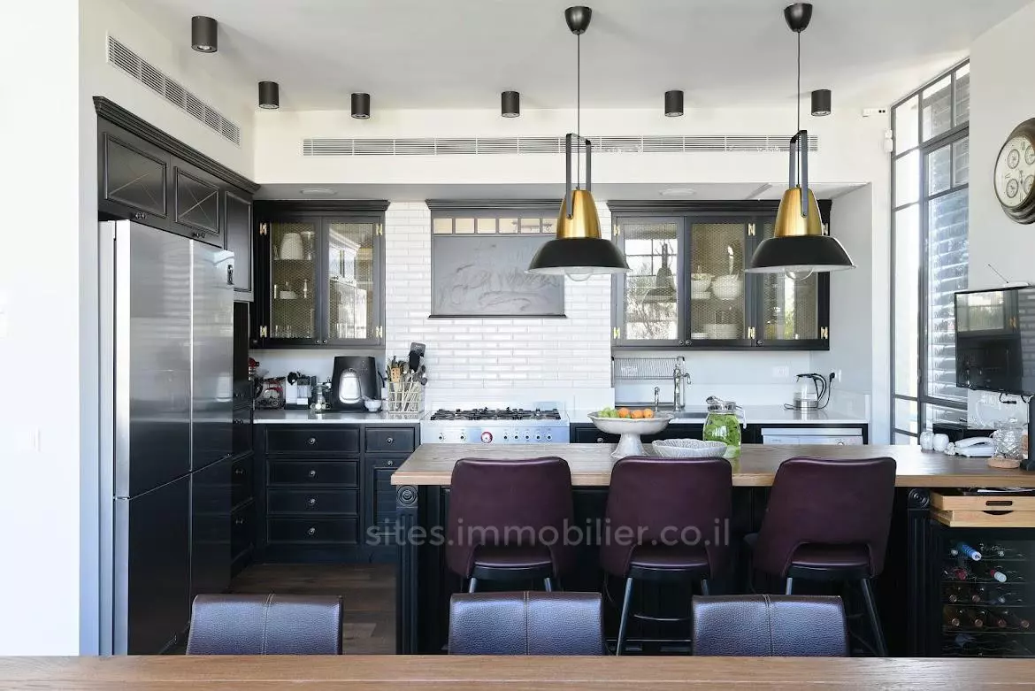 Duplex-Penthouse 5 rooms Tel Aviv City center 457-IBL-1242