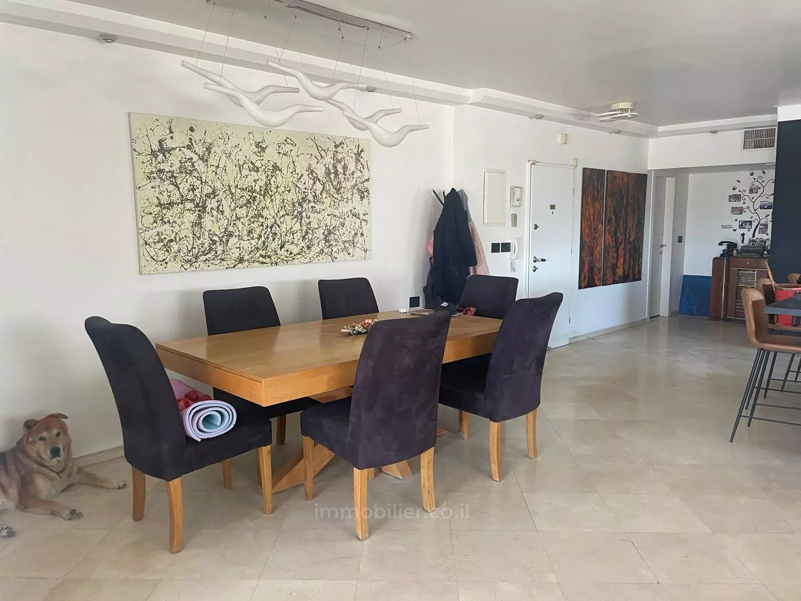 Penthouse 5 Rooms Ashdod Youd Alef 511-IBL-1620