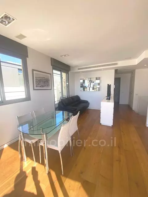 Duplex-Penthouse 3.5 Rooms Tel Aviv Ben-Yehuda 511-IBL-1670