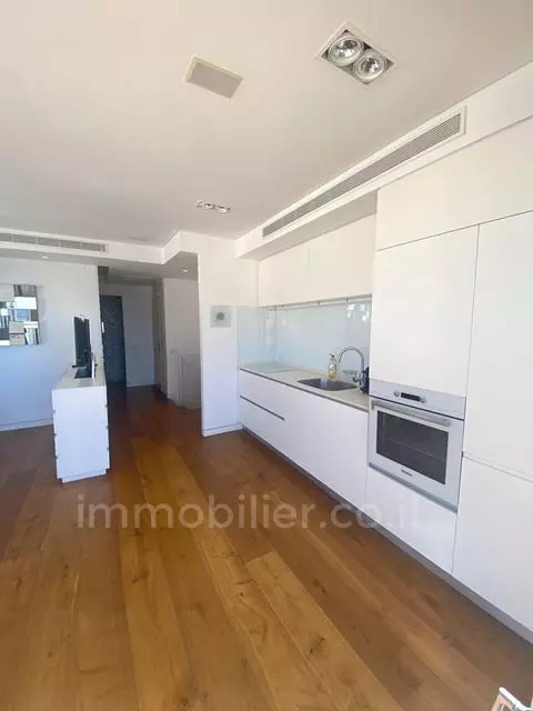 Duplex-Penthouse 3.5 Rooms Tel Aviv Ben-Yehuda 511-IBL-1670