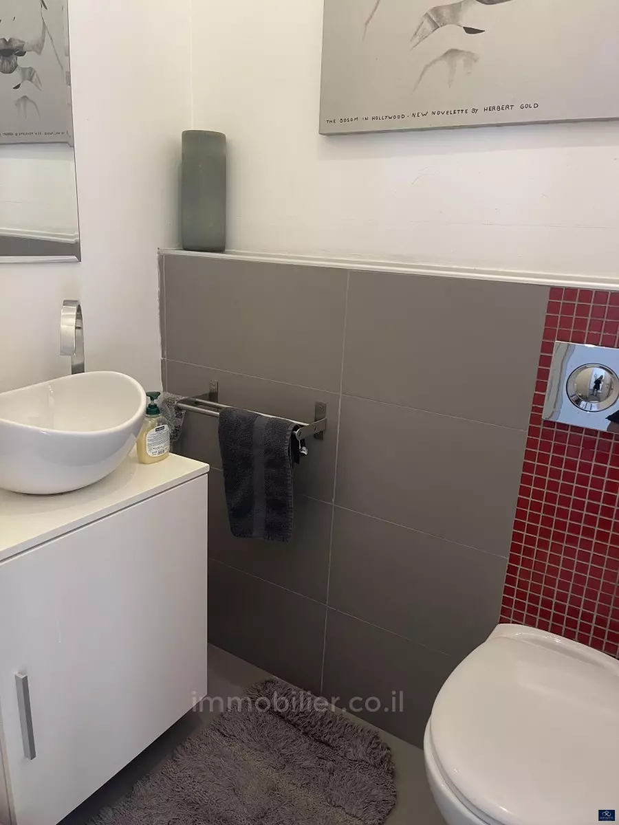 Apartment 3 rooms Tel Aviv Dizengof 527-IBL-11