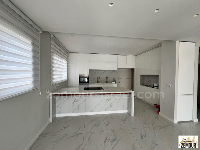 For rent Penthouse Raanana