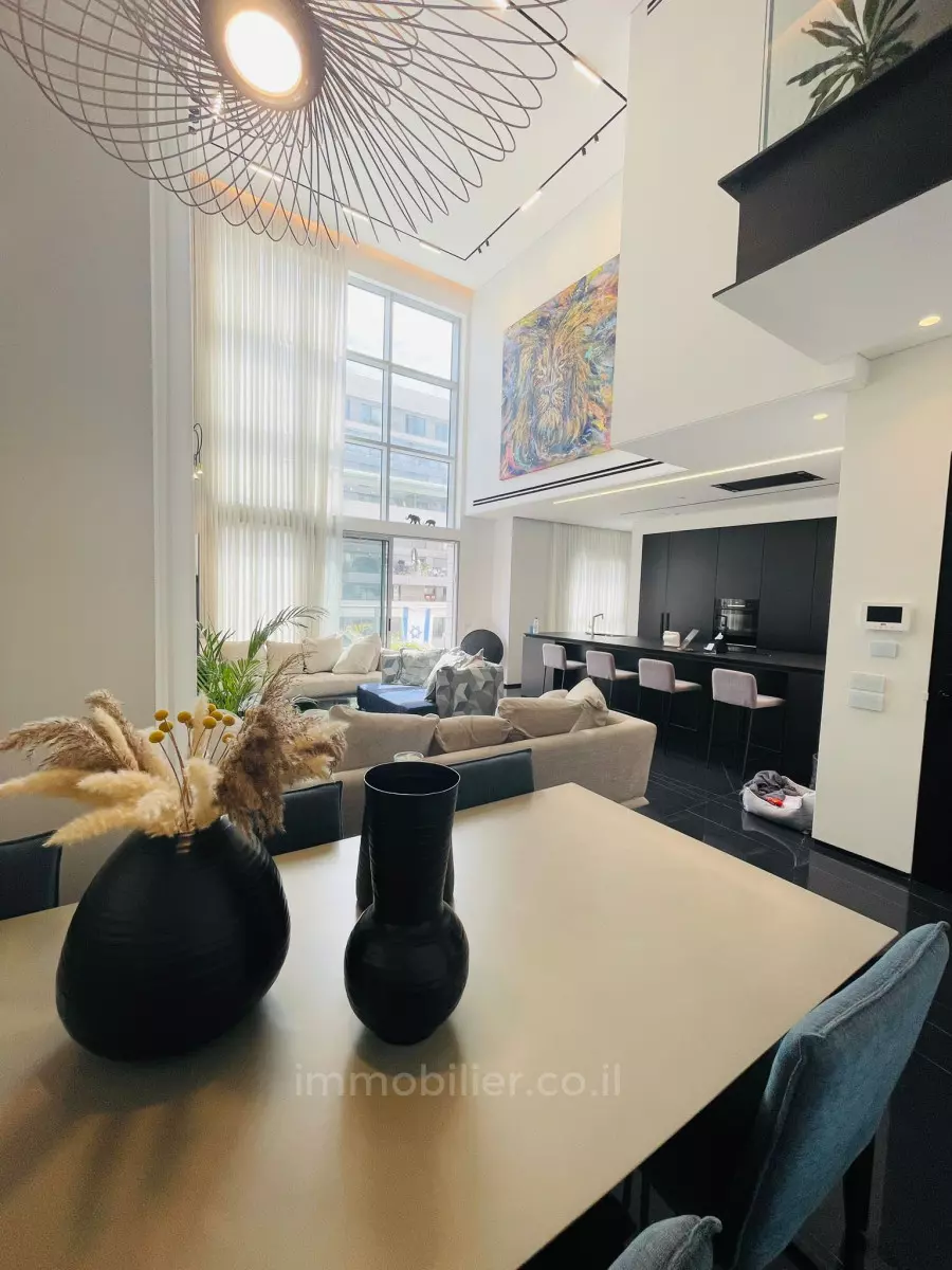 Duplex 6 Rooms Tel Aviv Tochnit lamed 601-IBL-20