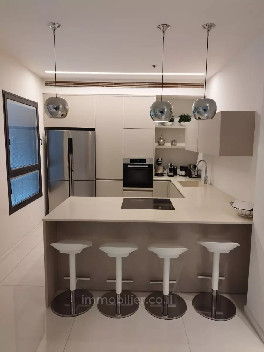 Penthouse 5 Rooms Netanya Netanya 601-IBL-28