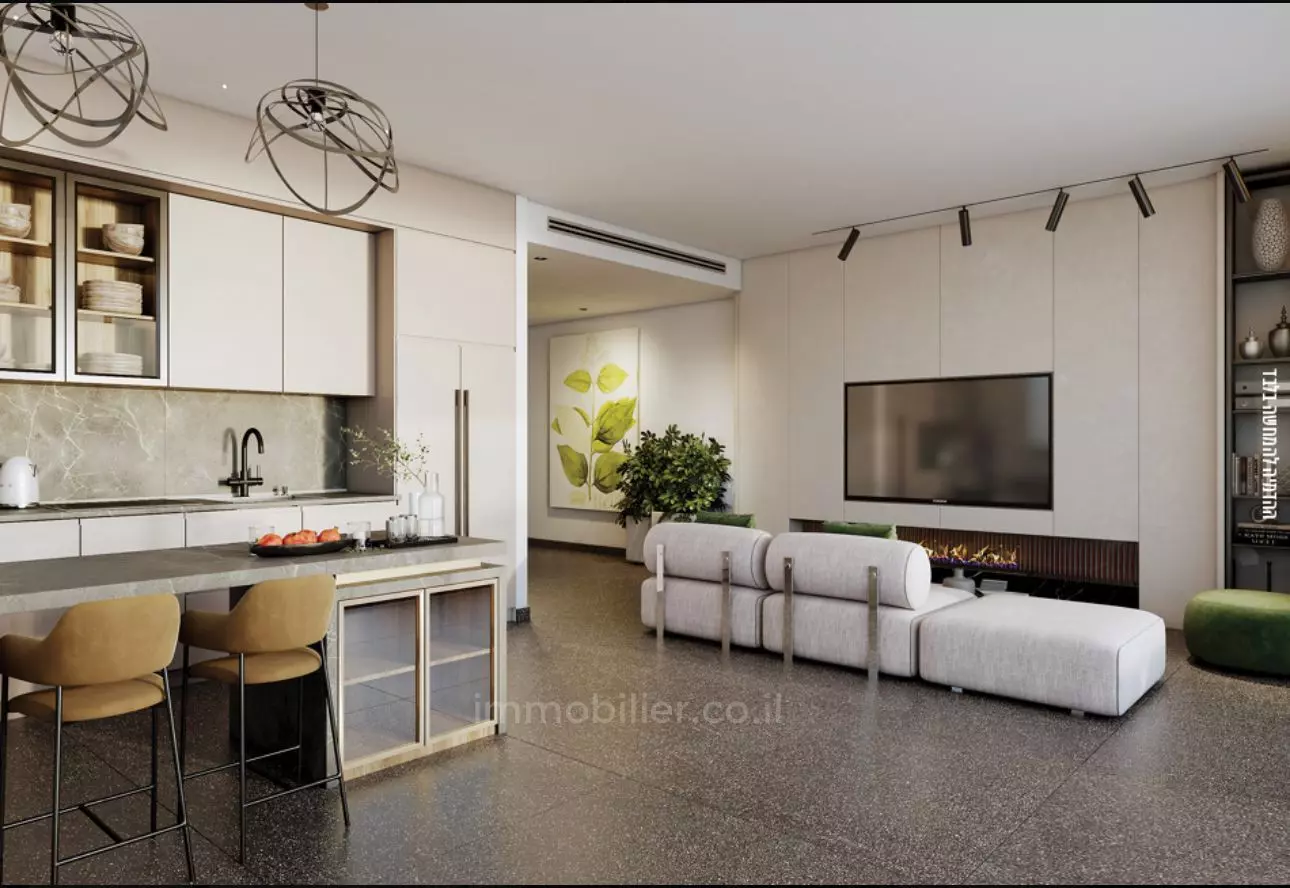 Penthouse 4 Rooms Tel Aviv Yehouda hamakaby 601-IBL-39