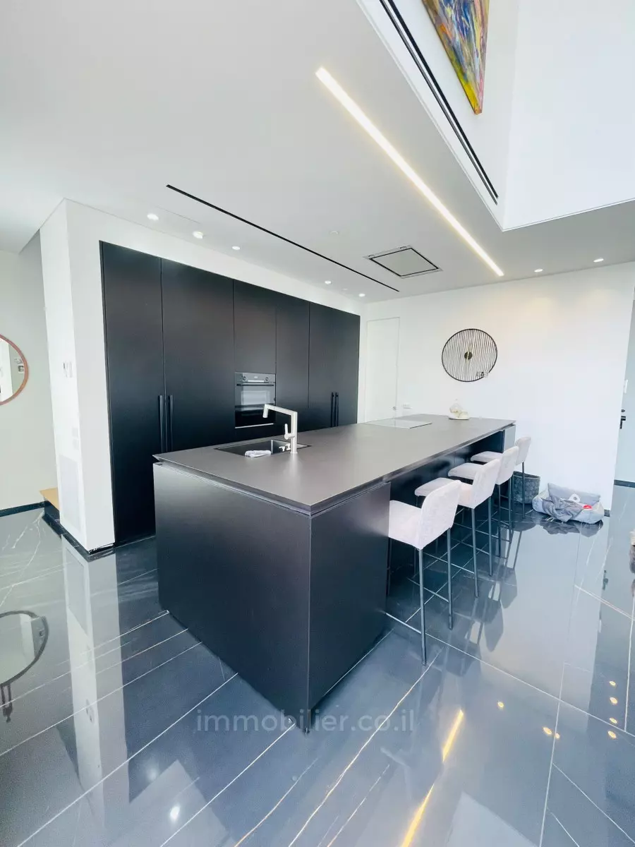 Duplex 6 rooms Tel Aviv Kohav Hazafon 601-IBL-8