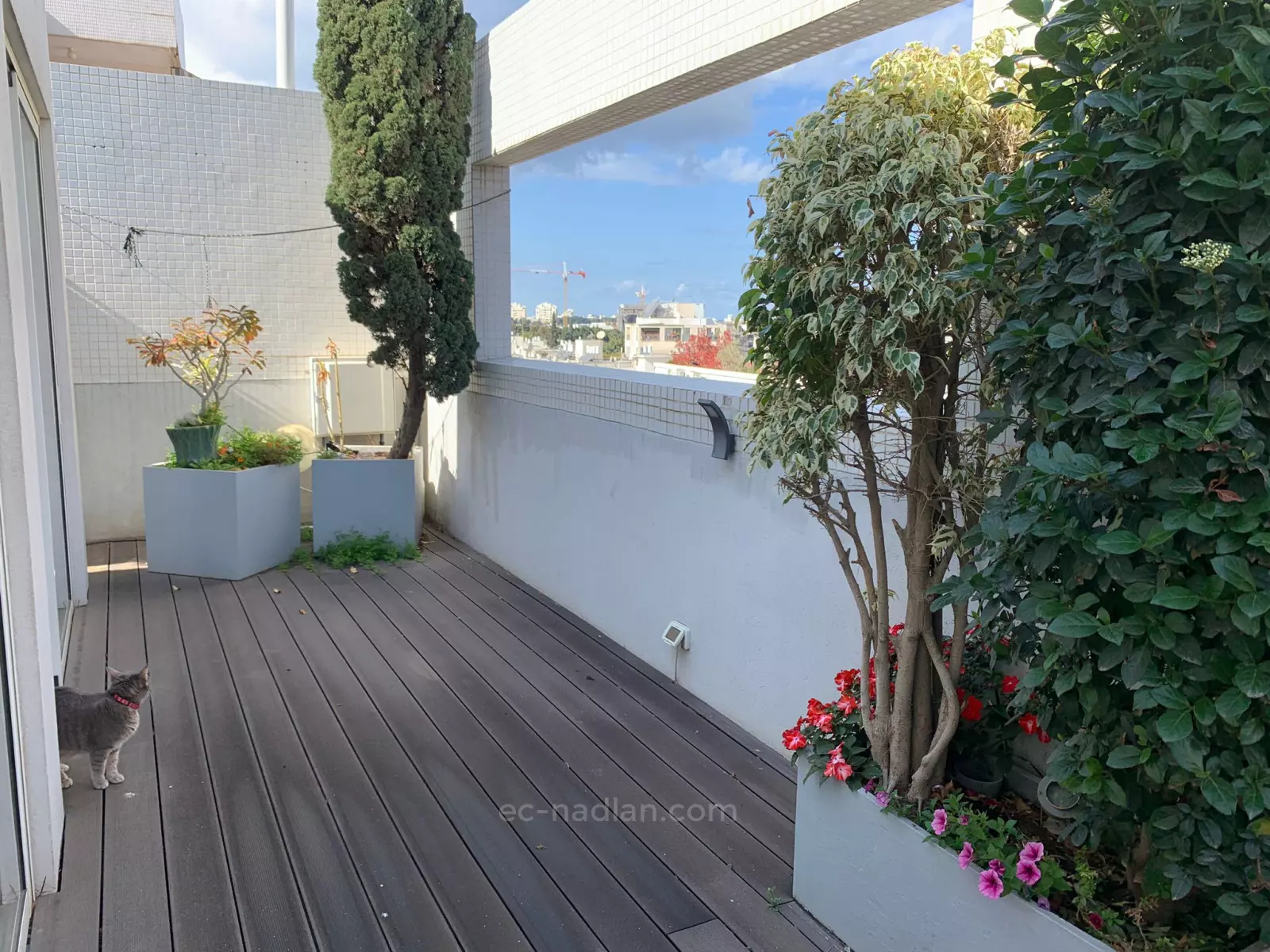 Duplex-Penthouse 5.5 rooms Tel Aviv Bavli 83-IBL-2527