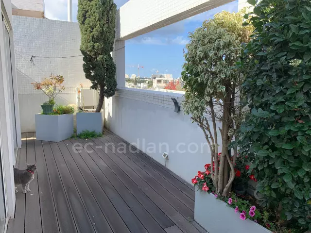 Sale Duplex-Penthouse Tel Aviv